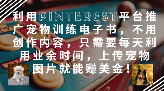 利用Pinterest平台推广宠物训练电子书，不用创作内容，只需要每天利用业余时间，上传宠物图片就能挣美金!-项目网
