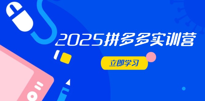 2025拼多多实训营：深度剖析运营关键，助力电商人快速提升-项目网