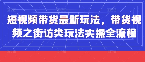短视频带货最新玩法，带货视频之街访类玩法实操全流程-项目网