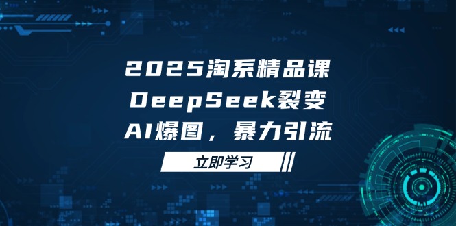 2025 淘系精品课，DeepSeek 裂变，AI 爆图，暴力引流-项目网