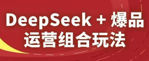 DeepSeek+爆品运营组合玩法，2025淘系精品课-项目网