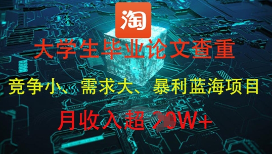 大学生毕业论文查重，暴利蓝海项目，月收入过1W+-项目网