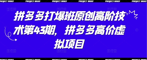拼多多打爆班原创高阶技术第43期，拼多多高价虚拟项目-项目网