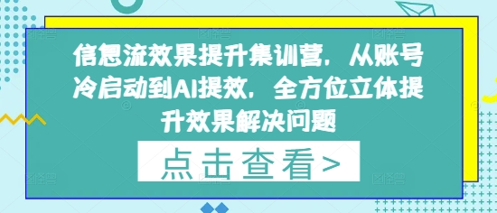 信息流效果提升集训营，从账号冷启动到AI提效，全方位立体提升效果解决问题-项目网