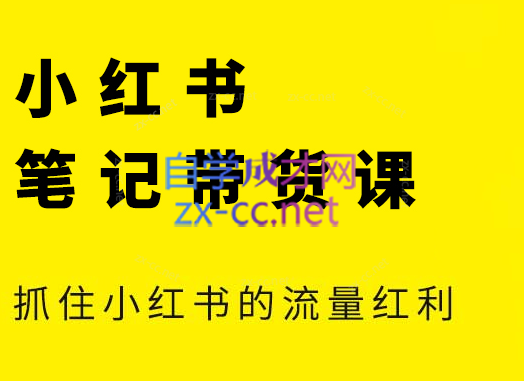 张宾·小红书笔记带货课(更新4月)-项目网