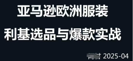 跨境电商选品案例24-25年，聚焦跨境电商选品策略与运营优化，助力卖家挖掘蓝海市场-项目网
