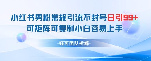 小红书男粉常规引流不封号日引99+变现简单 可矩阵可复制小白容易上手-项目网