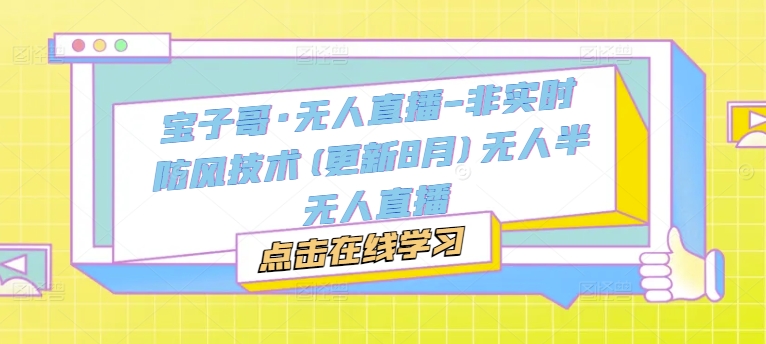 宝子哥·无人直播-非实时防风技术(更新25年5月)无人半无人直播-项目网