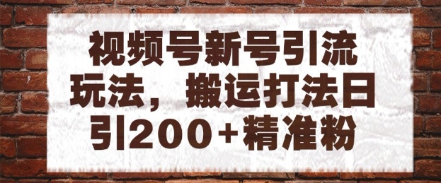 视频号新号引流玩法，搬运打法日引200+精准粉，可矩阵放大【揭秘】-项目网