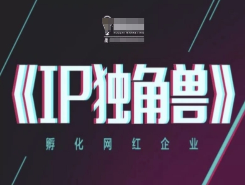IP独角兽，孵化网红企业，ip教程-项目网