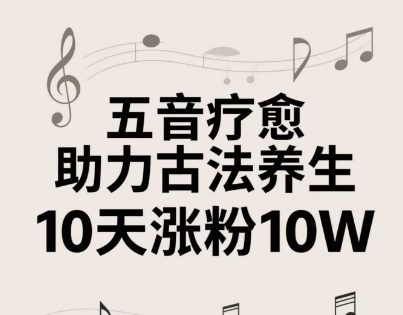 古法五音养生教程，五音疗愈的视频的制作方法，2-4小时就能学会，作者10天涨粉10W-项目网