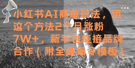 小红书AI商单玩法，用这个方法2个月涨粉7W+，新手也能接品牌合作(附全套指令模板)-项目网