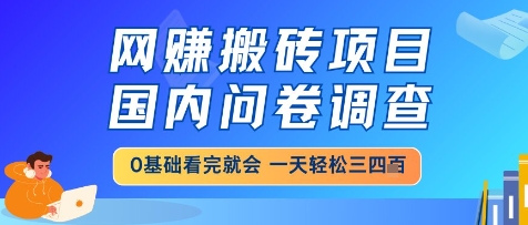 网创搬砖项目，国内问卷调查，小白轻松上手，一天三四张的也不难，干就完了【揭秘】-项目网