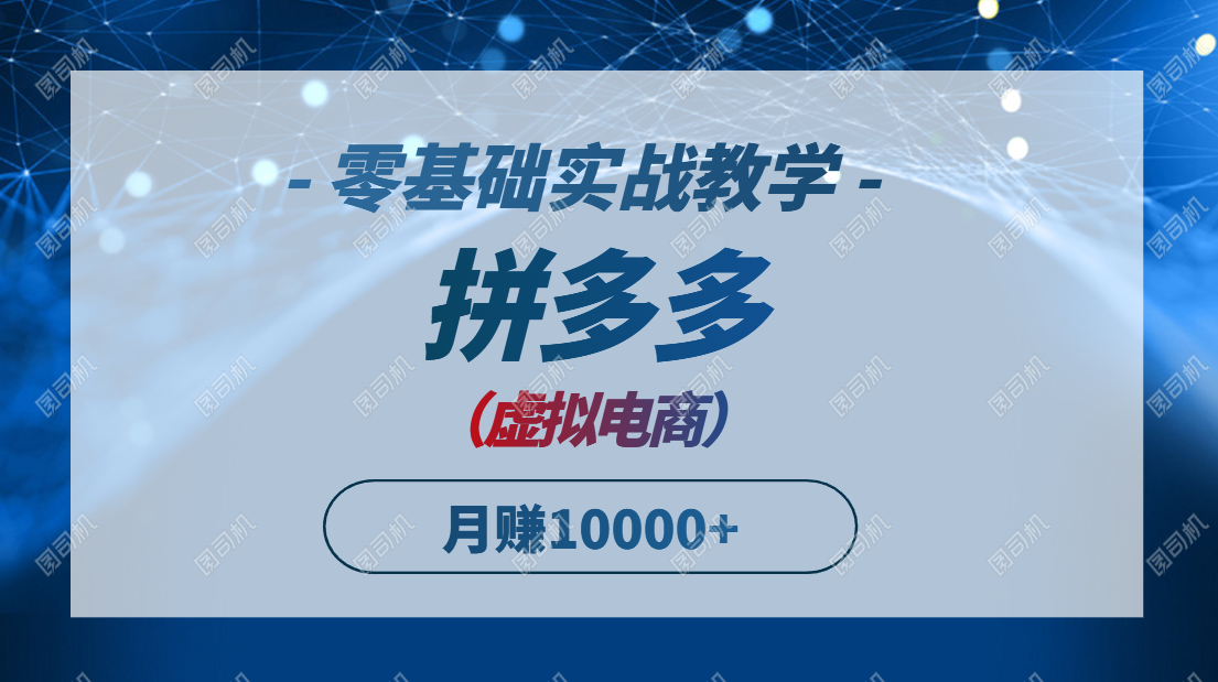 拼多多虚拟电商，零基础实战教学，快速打爆商品，新手也能月入10000+-项目网