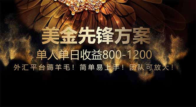 免费技术！小众赛道！一年布局抵三年努力，每日800+-项目网