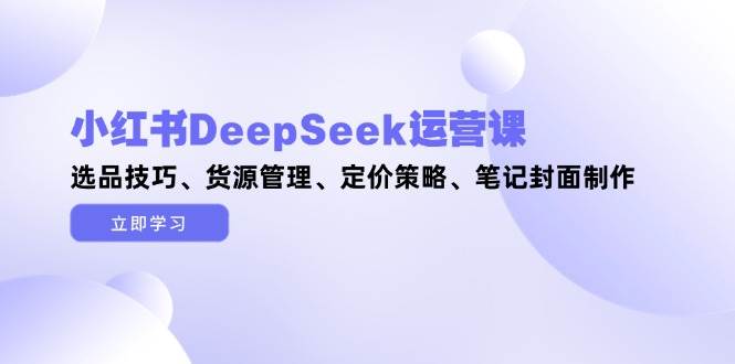 小红书DeepSeek运营课，选品技巧、货源管理、定价策略、笔记封面制作-项目网