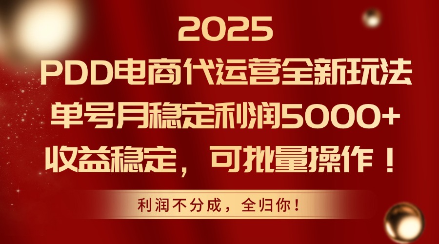 2025PDD电商代运营全新玩法，单号月稳定利润5000+，收益稳定，可批量操作-项目网
