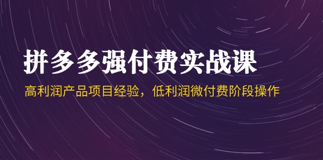 拼多多强付费实战课-44期，高利润产品项目经验，低利润微付费阶段操作-项目网