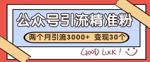 公众号精准粉引流玩法，2个月3000+精准粉，变现30个W【揭秘】-项目网