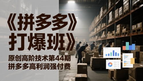 《拼多多打爆班》原创高阶技术第44期，拼多多高利润强付费-项目网