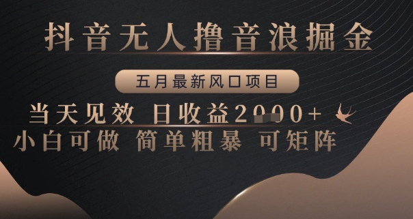 抖音无人撸音浪掘金，五月最新风口项目，当天见效，日收益多张，小白可做简单粗暴可矩阵【揭秘】-项目网