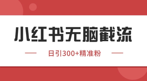 小红书只要你有同行就能获客，独家野路子获客玩法，暴力截流【揭秘】-项目网