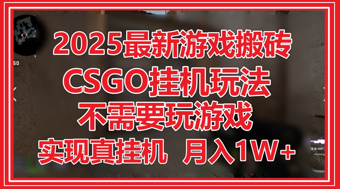 2025最新游戏搬砖，CSGO挂机，不需要玩游戏，实现真挂机，月入1W+-项目网