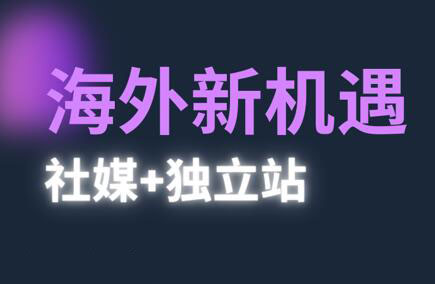 棕榈·2025出海新机遇(社媒+独立站)-项目网