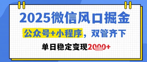 2025微信风口掘金，公众号+小程序双管齐下，单日稳定变现1k+【揭秘】-项目网