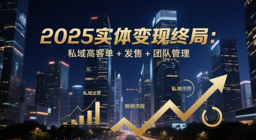 2025实体变现终局：私域高客单+发售+团队管理-项目网