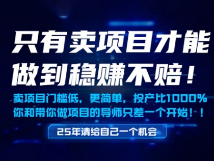 只有卖项目才能做到稳挣不赔，门槛低，更简单，你也可以年入百个W【揭秘】-项目网