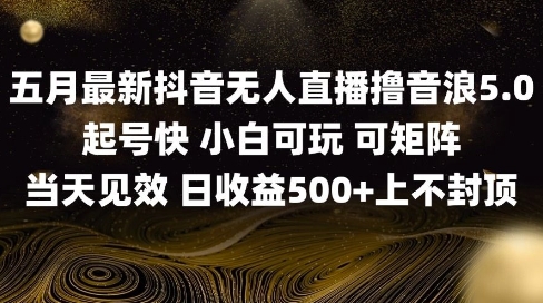 2025五月最新无人直播撸音浪单日产出5张+实操教程【揭秘】-项目网