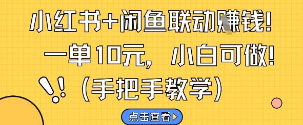 小红书+闲鱼联动挣钱，一单10元，小白可做-项目网