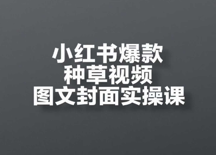 小红书爆款种草视频图文封面实操课，​开店、选品、引流、变现全流程-项目网