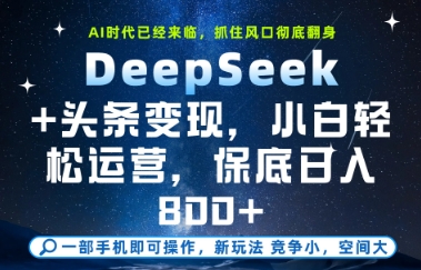 DeepSeek+头条变现，保姆级教学，小白轻松上手，日入8张+【揭秘】-项目网