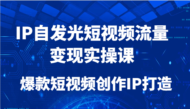 IP自发光短视频流量变现实操课，爆款短视频创作IP打造-项目网