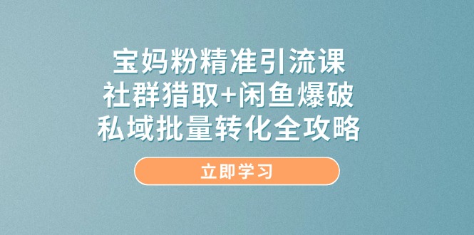 宝妈粉精准引流课，社群猎取+闲鱼爆破，私域批量转化全攻略-项目网