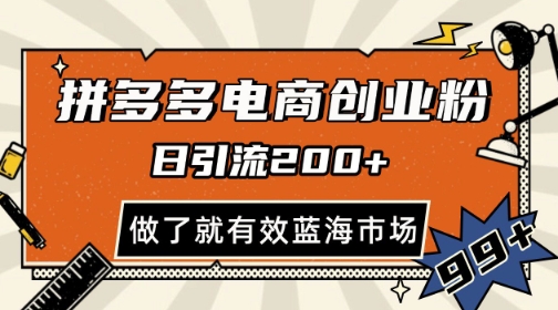 拼多多引流电商创业粉，日引200+，可矩阵放大，做了就有效【揭秘】-项目网