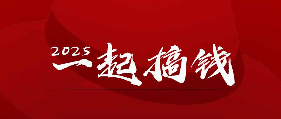 2025年，请“不择手段”去搞钱!-项目网
