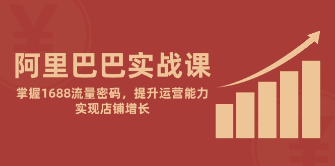 阿里巴巴实战课：掌握1688流量密码，提升运营能力，实现店铺增长-项目网