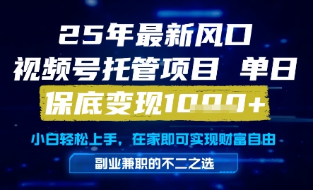 25年最新风口，视频号托管项目，单日保底变现1k+，手把手教学【揭秘】-项目网