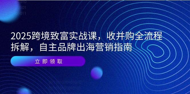 2025跨境致富实战课，收并购全流程拆解，自主品牌出海营销指南-项目网