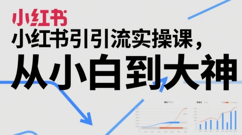 小红书引流实操课，从小白到大神-项目网