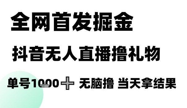 全网首发掘金抖音无人直播撸礼物，单号1k +无脑撸，当天拿结果【揭秘】-项目网