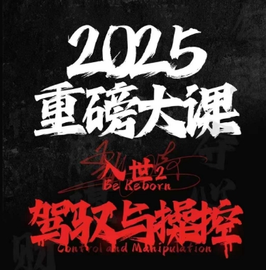 2025重磅大课，入世2，驾驭与控制-项目网
