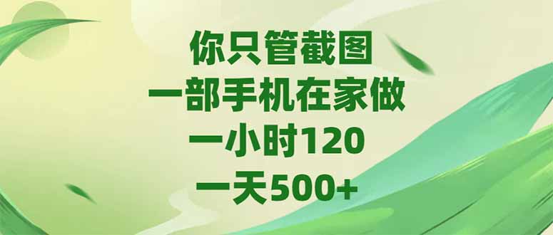 你只管截图，一部手机在家做，一小时120，-天500+-项目网