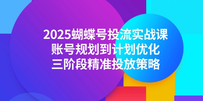 2025蝴蝶号投流实战课，账号规划到计划优化，三阶段精准投放策略-项目网