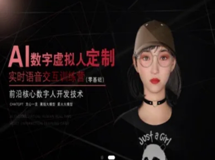 AI数字虚拟人定制，实时语音交互训练营(零基础)，前沿核心数字人开发技术-项目网