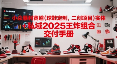 小众暴利赛道(球鞋定制，二创项目)实体+私域2025王炸组合  交付手册-项目网