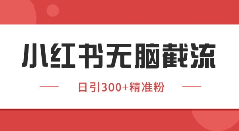 小红书截流同行客源，独家野路子获客玩法 日引200+暴力获客【揭秘】-项目网